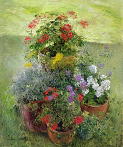 Shaded Pots by Timothy Easton