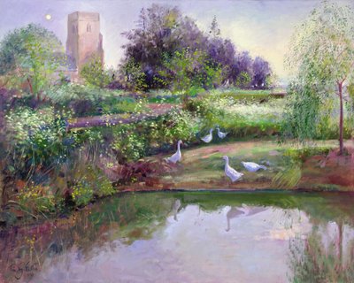 Sundown Reflections by Timothy Easton