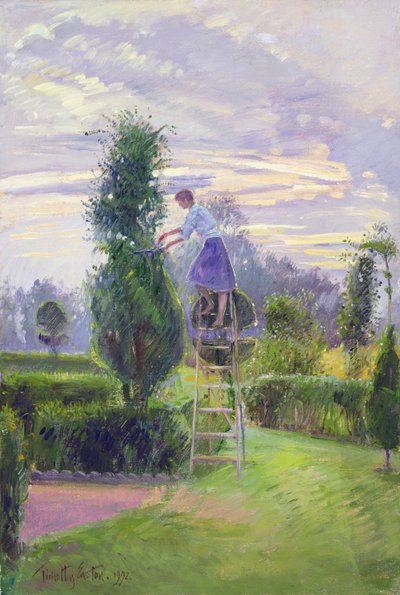 The First Trim by Timothy Easton
