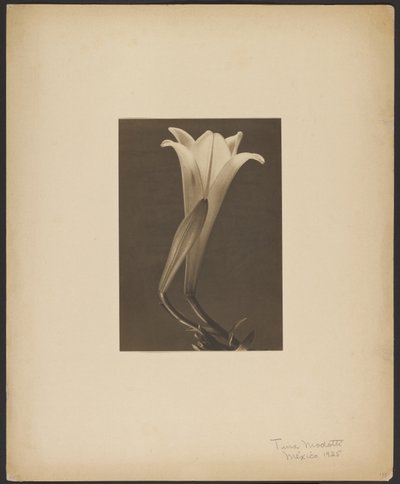 No. 1 by Tina Modotti