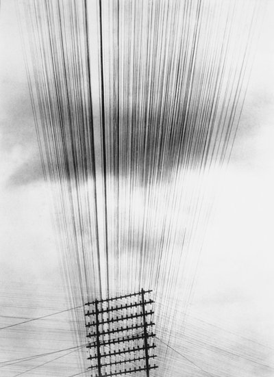 Telephone Wires, Mexico by Tina Modotti