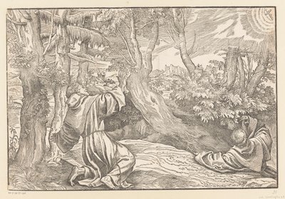 Saint Francis Receiving the Stigmata by Titiaan