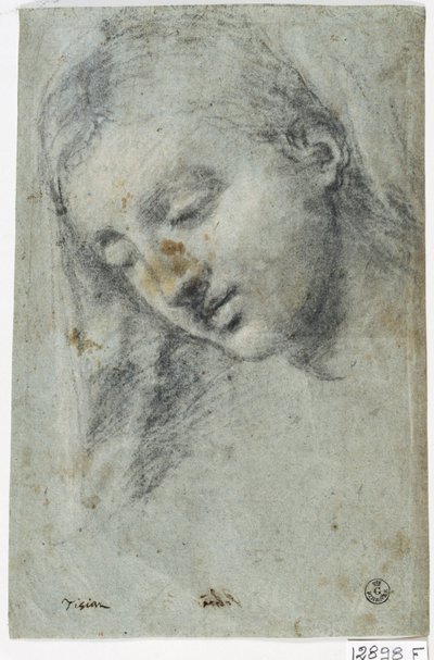 Head of a Woman by Titian (c.1488 1576)