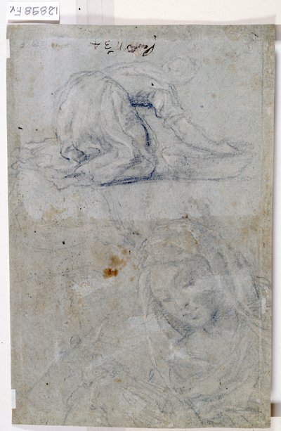 Studies of the Virgin by Titian (c.1488 1576)