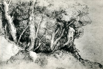 Forest Landscape by Tiziano Vecelli