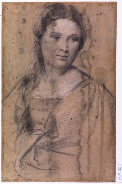 Portrait of a Young Girl by Tiziano Vecelli