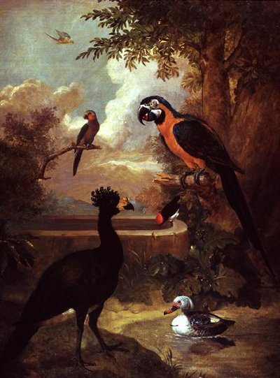 Wild Fowl by Tobias Stranover