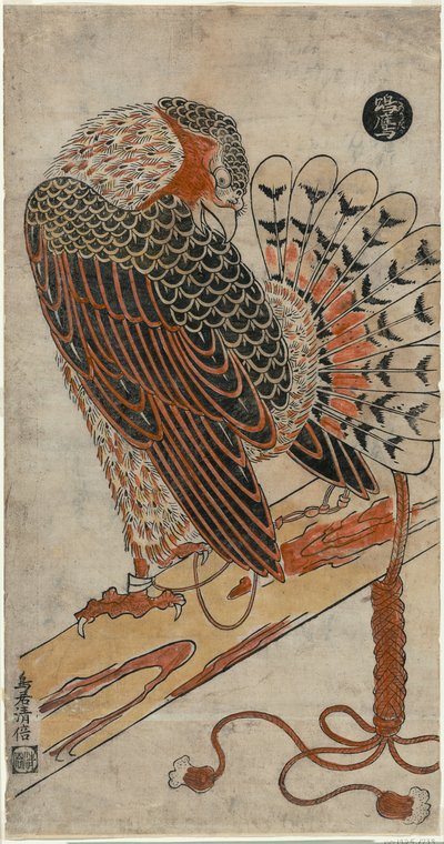 Sparrowhawk by Torii Kiyomasu I
