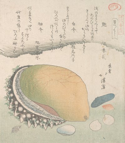 Awabi Ear-Shell and Various Shells by Totoya Hokkei