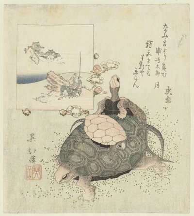 Turtles by Totoya Hokkei