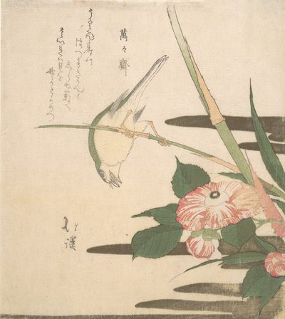 Warbler and Camellia by Totoya Hokkei