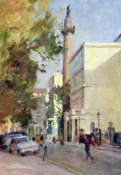 Carlton House Terrace by Trevor Chamberlain