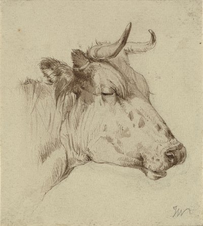 Head of a Cow by Ubekendt KKSgb7508 KKSgb7512