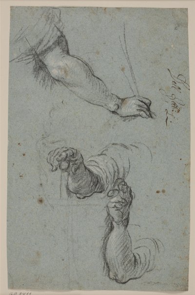 Three Studies of Arms by Ubekendt Ubekendt