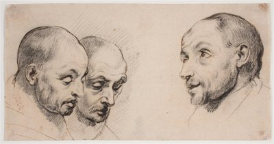 Three Male Heads by Ubekendt kopist efter Anthony van Dyck