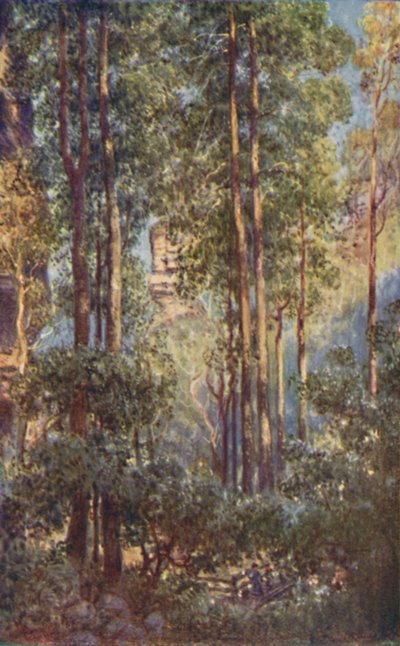 A Bush Valley in New South Wales by Unbekannt