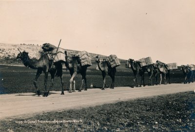 A Camel Train Bound for Damascus by Unbekannt