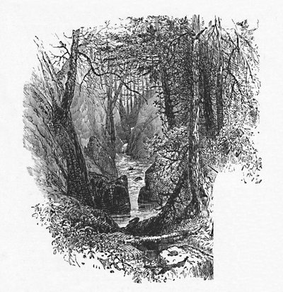 A Feeder to the Lake, 1883 by Unbekannt