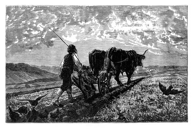 A French agriculturist by Unbekannt