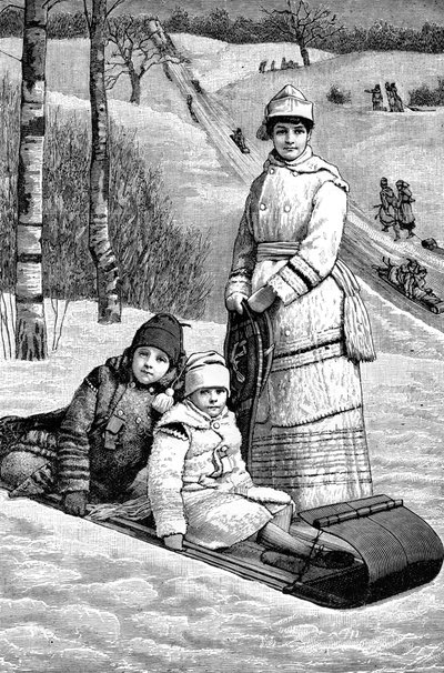A Glimpse of Canada, 1893 by Unbekannt