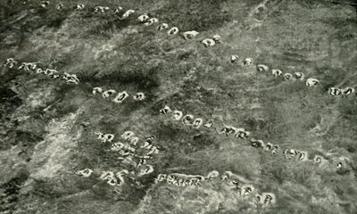 A Infantry Attack Across No Mans Land by Unbekannt