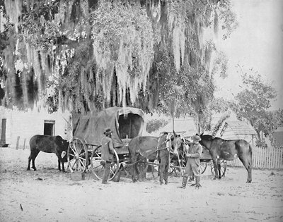 A Merchant from San Antonio, Texas, c1897 by Unbekannt