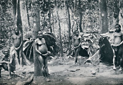 A Pygmy Village, North-East Congo Basin by Unbekannt