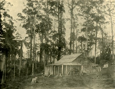 A Rustic Dwelling, 1901 by Unbekannt