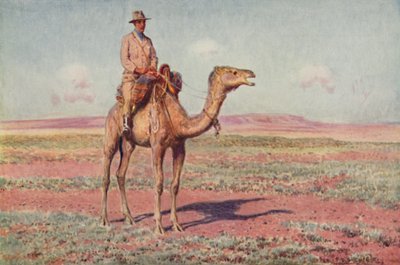 A Scene in Central Australia, 1923 by Unbekannt