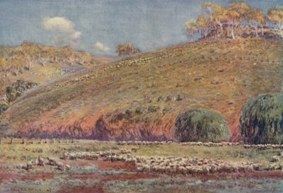 A Sheep-Run by Unbekannt