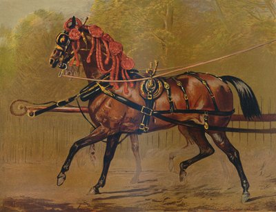 A State Carriage Horse by Unbekannt