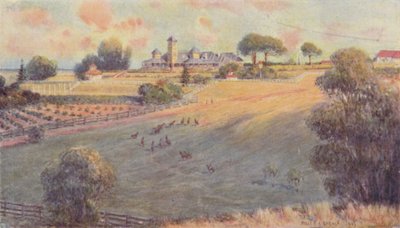 A Station Homestead, 1923 by Unbekannt