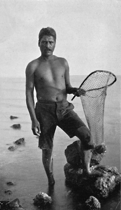 A Native Shrimper, Hawaii, with His Net, 1902 by Unbekannt