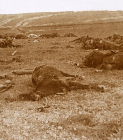 After the charge, Beauséjour, northern France, c1914-c1918 by Unbekannt