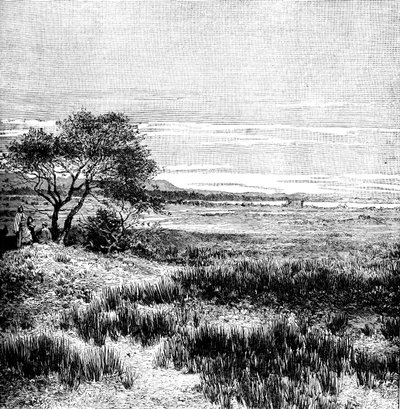 Agha Valley, Central Pampa, Argentina, 1895 by Unbekannt