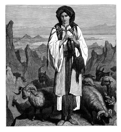 Albanian shepherdess, c1890 by Unbekannt