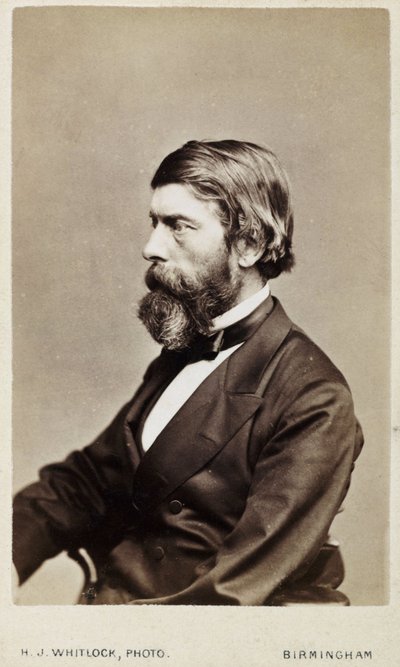 Alexander William Williamson, Scottish chemist, c 1865 by Unbekannt