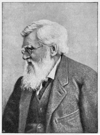 Alfred Russell Wallace, Welsh naturalist, c1895 by Unbekannt