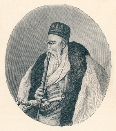 Ali Pasha of Tepelena by Unbekannt