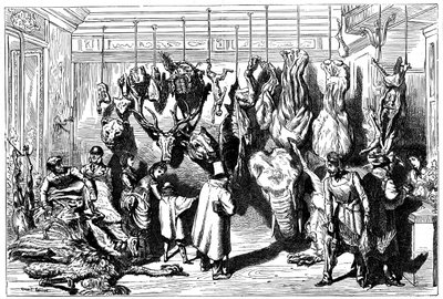 An English Butcher