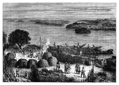 An encampment on the River Congo, Africa by Unbekannt