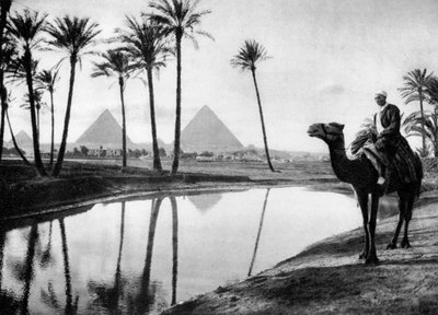 An Oasis near Cairo, Egypt by Unbekannt