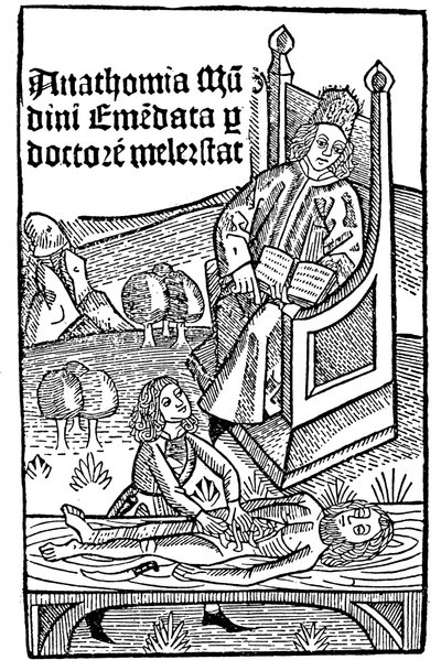 Anatomy demonstration by Unbekannt
