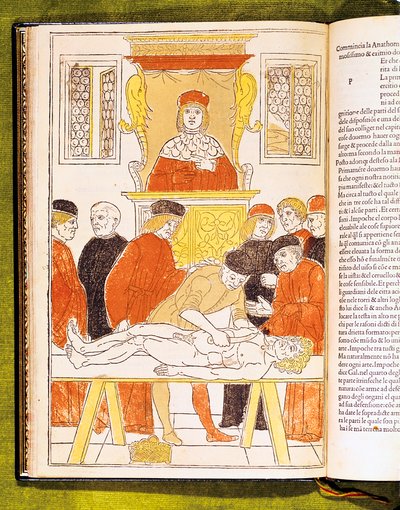Anatomy Lecture at Padua, Italy by Unbekannt