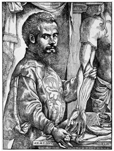 Andreas Vesalius, 16th century Flemish anatomist by Unbekannt