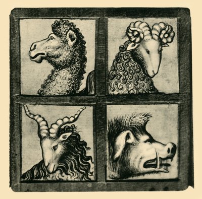 Animal Heads by Unbekannt