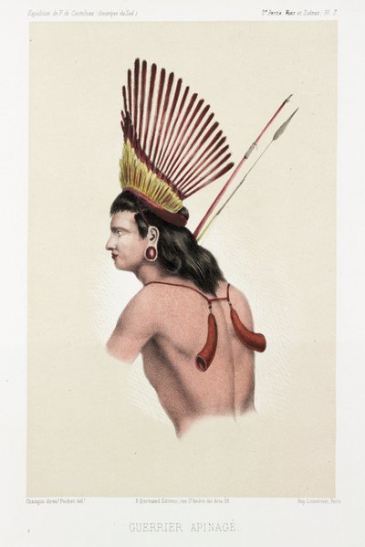 Apinage Warrior, Brazil, c 1843-1847 by Unbekannt