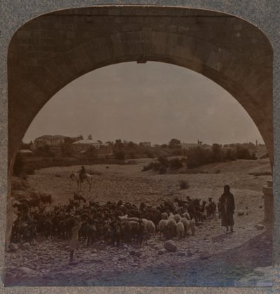 Aqueduct showing Jericho through Arch, c1900 by Unbekannt