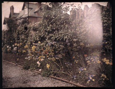Autochrome of flowers, c 1908 by Unbekannt