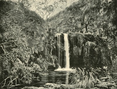 Back Creek Falls, Buchan River, Victoria by Unbekannt